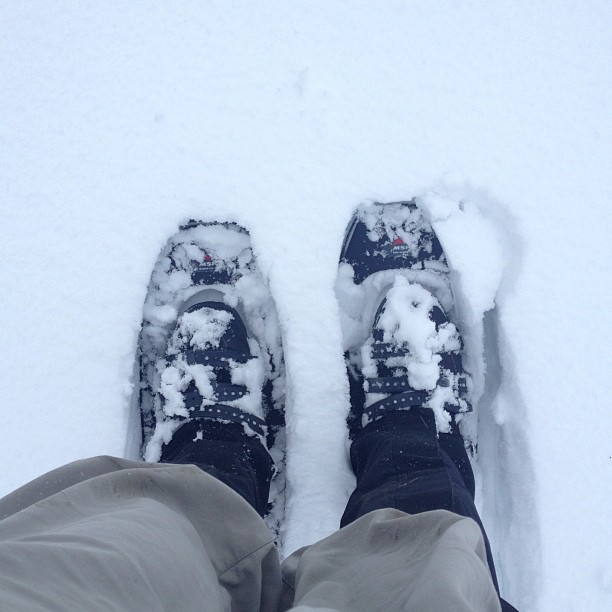 Showshoes in snow